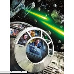 Star Wars Fine Art Collection Never Tell Me The Odds 1000 Piece Jigsaw Puzzle  B073YF54C1